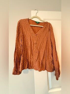 dip Rust Dot Button-Front V-Neck Blouse